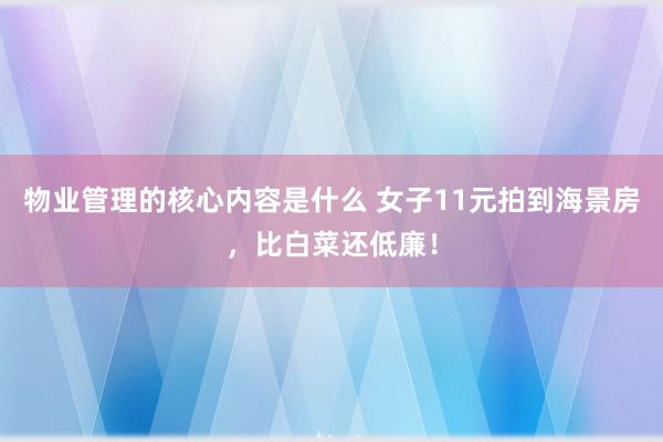 物业管理的核心内容是什么 女子11元拍到海景房，比白菜还低廉！