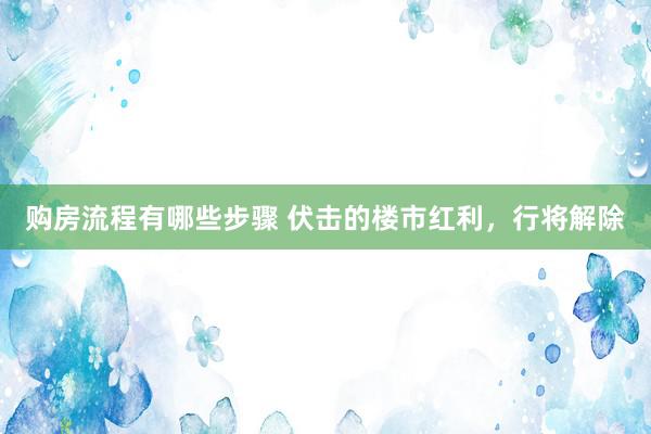 购房流程有哪些步骤 伏击的楼市红利，行将解除