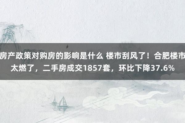 房产政策对购房的影响是什么 楼市刮风了！合肥楼市太燃了，二手房成交1857套，环比下降37.6%