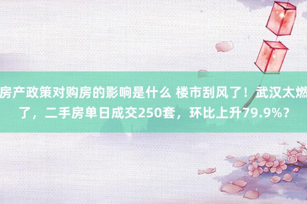 房产政策对购房的影响是什么 楼市刮风了！武汉太燃了，二手房单日成交250套，环比上升79.9%？