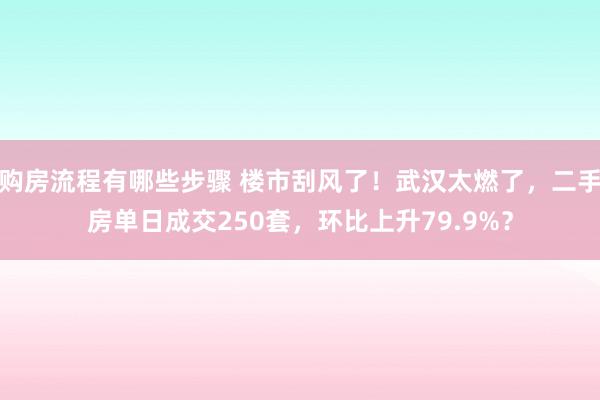 购房流程有哪些步骤 楼市刮风了！武汉太燃了，二手房单日成交250套，环比上升79.9%？