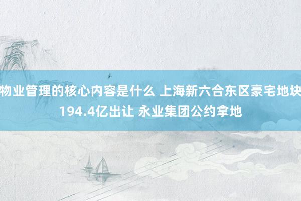 物业管理的核心内容是什么 上海新六合东区豪宅地块194.4亿出让 永业集团公约拿地