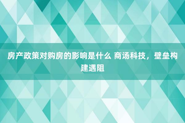 房产政策对购房的影响是什么 商汤科技，壁垒构建遇阻