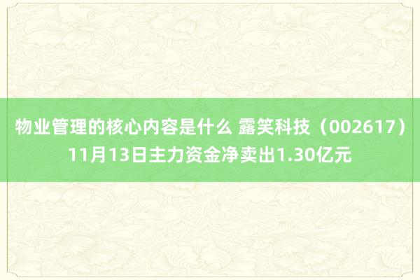 物业管理的核心内容是什么 露笑科技（002617）11月13日主力资金净卖出1.30亿元