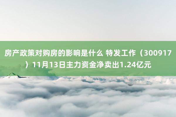 房产政策对购房的影响是什么 特发工作（300917）11月13日主力资金净卖出1.24亿元