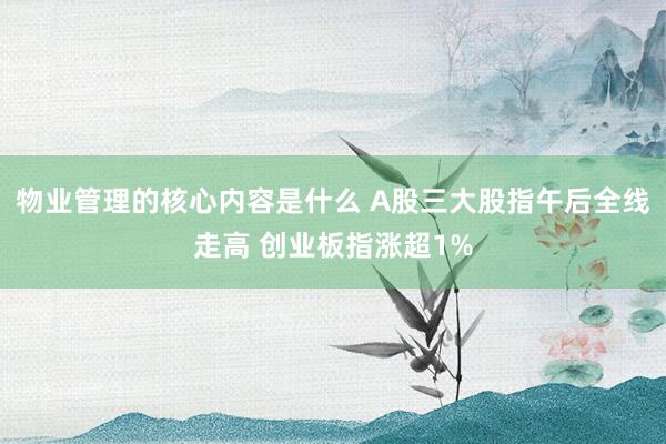 物业管理的核心内容是什么 A股三大股指午后全线走高 创业板指涨超1%