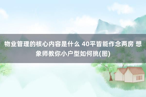 物业管理的核心内容是什么 40平皆能作念两房 想象师教你小户型如何挑(图)