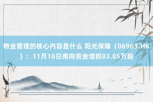 物业管理的核心内容是什么 阳光保障（06963.HK）：11月18日南向资金增抓83.85万股