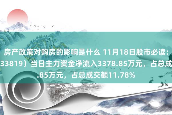 房产政策对购房的影响是什么 11月18日股市必读：颖泰生物（833819）当日主力资金净流入3378.85万元，占总成交额11.78%