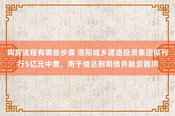 购房流程有哪些步骤 洛阳城乡建造投资集团拟刊行5亿元中票，用于偿还到期债务融资器用