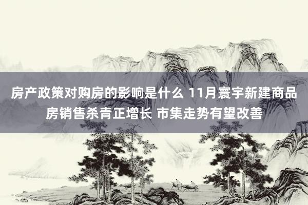 房产政策对购房的影响是什么 11月寰宇新建商品房销售杀青正增长 市集走势有望改善