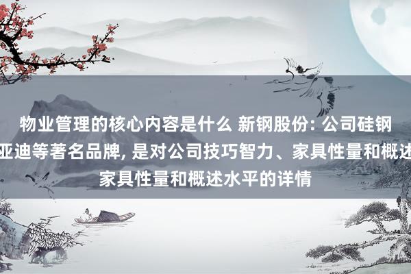 物业管理的核心内容是什么 新钢股份: 公司硅钢家具供应比亚迪等著名品牌, 是对公司技巧智力、家具性量和概述水平的详情