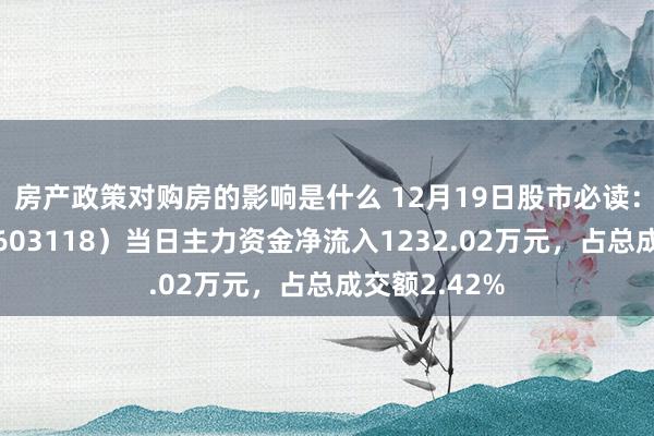 房产政策对购房的影响是什么 12月19日股市必读：共进股份（603118）当日主力资金净流入1232.02万元，占总成交额2.42%