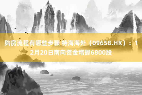 购房流程有哪些步骤 特海海外（09658.HK）：12月20日南向资金增握6800股