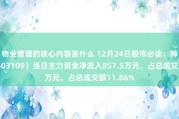 物业管理的核心内容是什么 12月24日股市必读：神驰机电（603109）当日主力资金净流入857.5万元，占总成交额11.86%