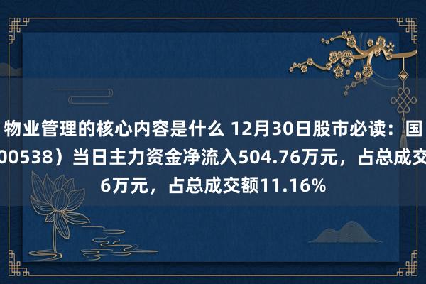 物业管理的核心内容是什么 12月30日股市必读：国发股份（600538）当日主力资金净流入504.76万元，占总成交额11.16%