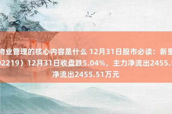 物业管理的核心内容是什么 12月31日股市必读：新里程（002219）12月31日收盘跌5.04%，主力净流出2455.51万元