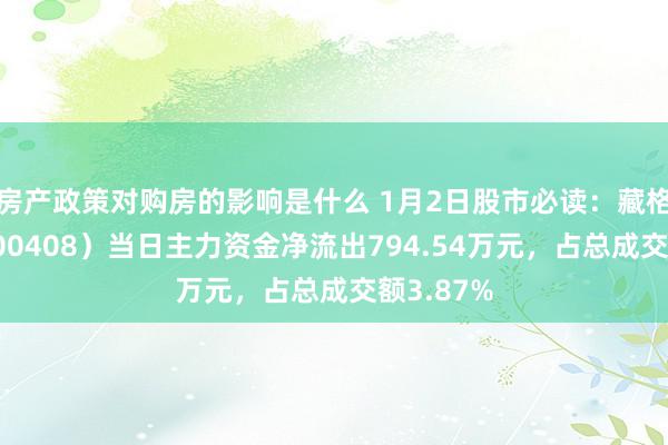 房产政策对购房的影响是什么 1月2日股市必读：藏格矿业（000408）当日主力资金净流出794.54万元，占总成交额3.87%