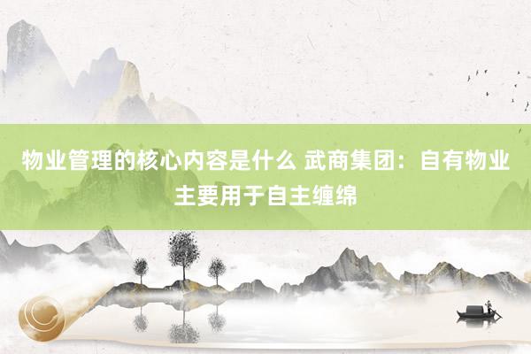 物业管理的核心内容是什么 武商集团：自有物业主要用于自主缠绵