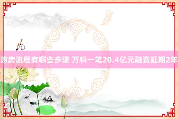 购房流程有哪些步骤 万科一笔20.4亿元融资延期2年