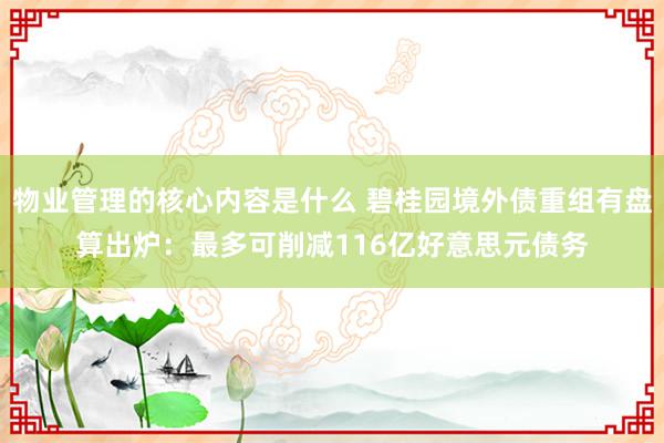 物业管理的核心内容是什么 碧桂园境外债重组有盘算出炉：最多可削减116亿好意思元债务