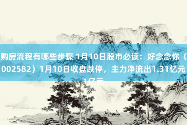 购房流程有哪些步骤 1月10日股市必读：好念念你（002582）1月10日收盘跌停，主力净流出1.31亿元