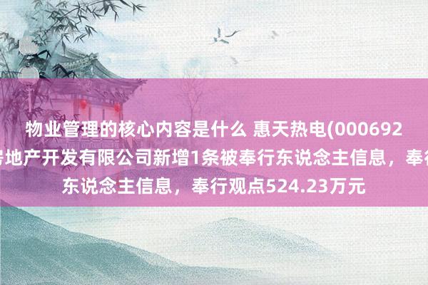 物业管理的核心内容是什么 惠天热电(000692)参股的沈阳惠天房地产开发有限公司新增1条被奉行东说念主信息，奉行观点524.23万元