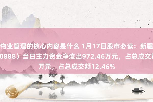 物业管理的核心内容是什么 1月17日股市必读：新疆众和（600888）当日主力资金净流出972.46万元，占总成交额12.46%