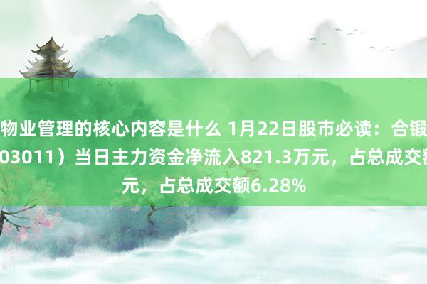 物业管理的核心内容是什么 1月22日股市必读：合锻智能（603011）当日主力资金净流入821.3万元，占总成交额6.28%