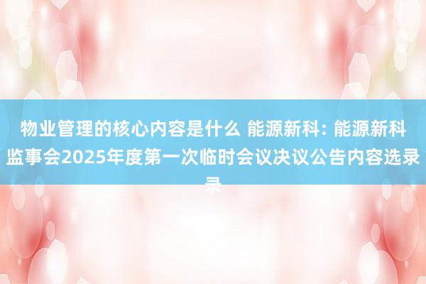 物业管理的核心内容是什么 能源新科: 能源新科监事会2025年度第一次临时会议决议公告内容选录