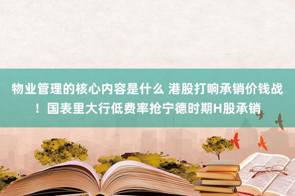 物业管理的核心内容是什么 港股打响承销价钱战！国表里大行低费率抢宁德时期H股承销