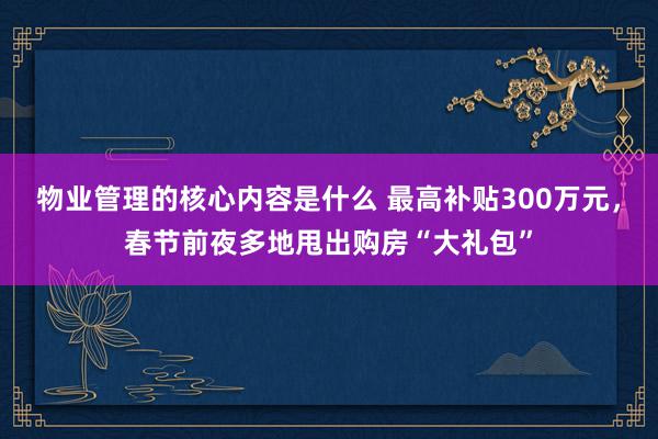 物业管理的核心内容是什么 最高补贴300万元，春节前夜多地甩出购房“大礼包”