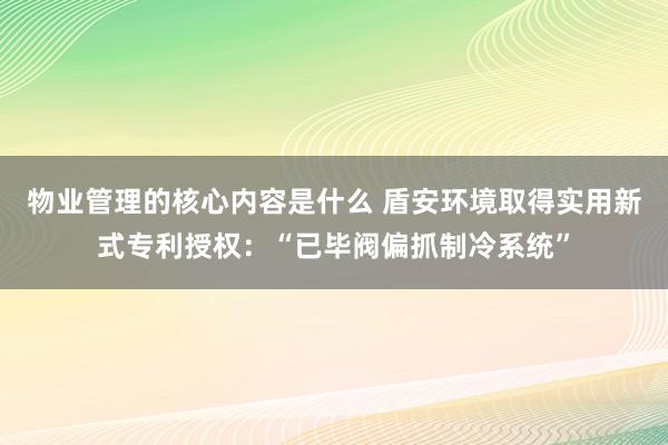 物业管理的核心内容是什么 盾安环境取得实用新式专利授权：“已毕阀偏抓制冷系统”