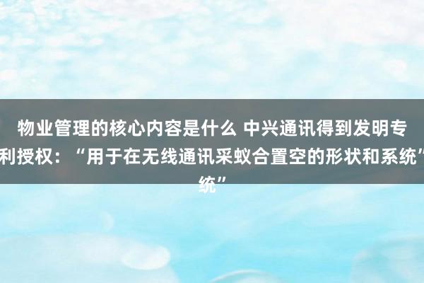 物业管理的核心内容是什么 中兴通讯得到发明专利授权：“用于在无线通讯采蚁合置空的形状和系统”