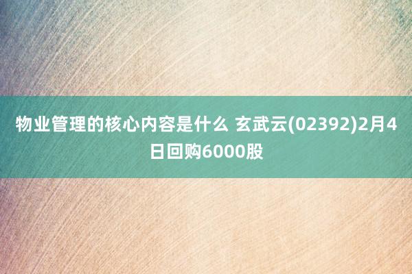 物业管理的核心内容是什么 玄武云(02392)2月4日回购6000股