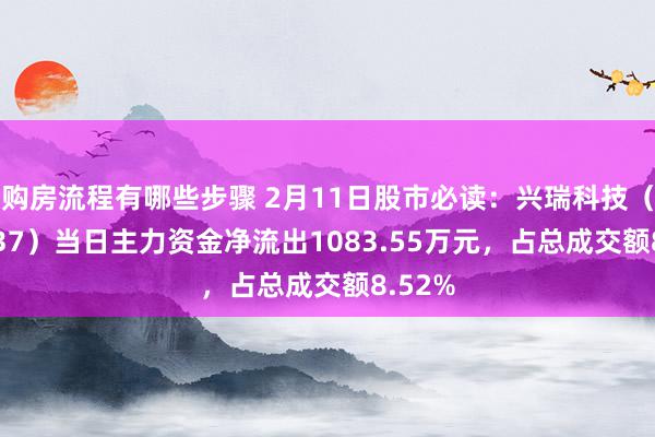 购房流程有哪些步骤 2月11日股市必读：兴瑞科技（002937）当日主力资金净流出1083.55万元，占总成交额8.52%