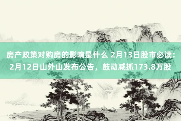 房产政策对购房的影响是什么 2月13日股市必读：2月12日山外山发布公告，鼓动减抓173.8万股