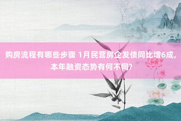 购房流程有哪些步骤 1月民营房企发债同比增6成, 本年融资态势有何不同?