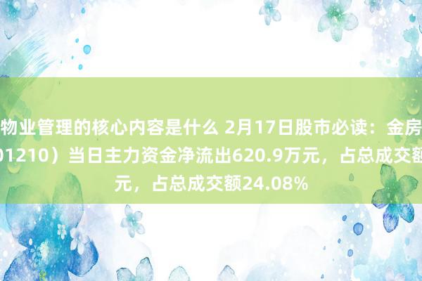 物业管理的核心内容是什么 2月17日股市必读：金房动力（001210）当日主力资金净流出620.9万元，占总成交额24.08%