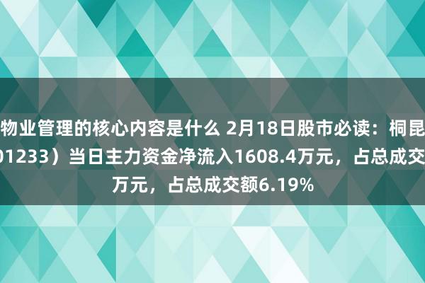 物业管理的核心内容是什么 2月18日股市必读：桐昆股份（601233）当日主力资金净流入1608.4万元，占总成交额6.19%