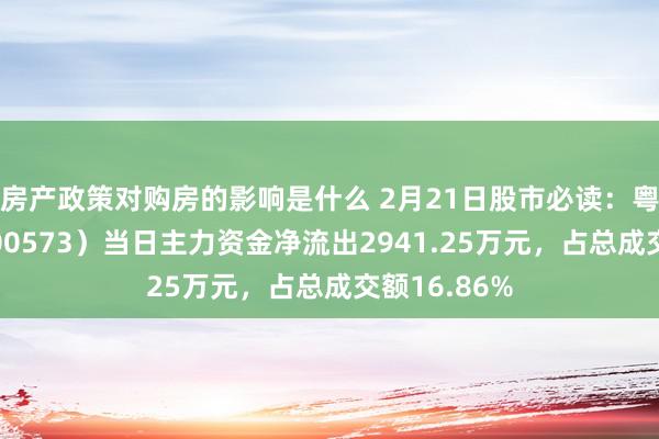 房产政策对购房的影响是什么 2月21日股市必读：粤宏远Ａ（000573）当日主力资金净流出2941.25万元，占总成交额16.86%