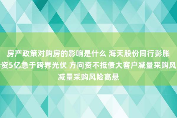 房产政策对购房的影响是什么 海天股份同行彭胀未果斥资5亿急于跨界光伏 方向资不抵债大客户减量采购风险高悬