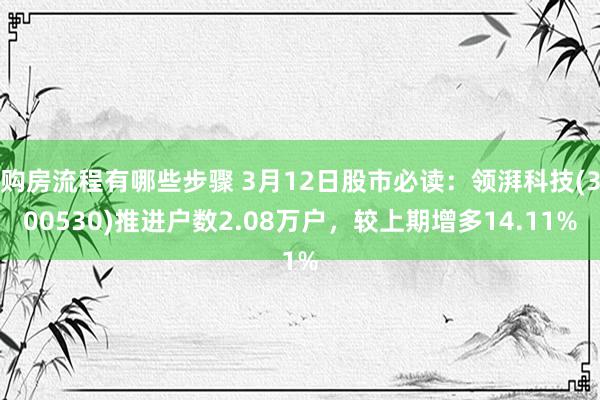 购房流程有哪些步骤 3月12日股市必读：领湃科技(300530)推进户数2.08万户，较上期增多14.11%